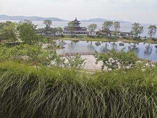 大有秋