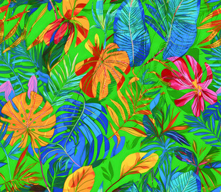 热带多彩植物插画