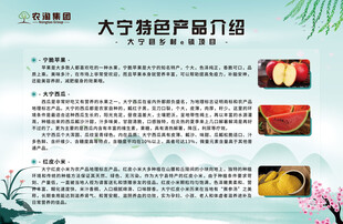 蓝绿色乡村产品介绍展板