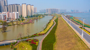 佛山滨江湿地公园