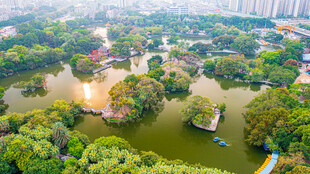 城市中的绿意盎然景观