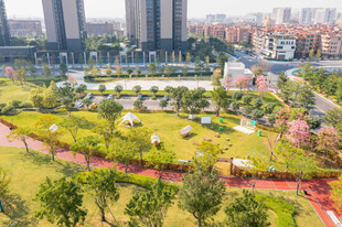 城市中的绿意盎然公园景观