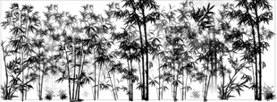 竹林背景 水墨竹林  竹子