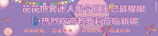 花花世界迷人眼 接机横幅 