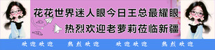 条幅 接机横幅