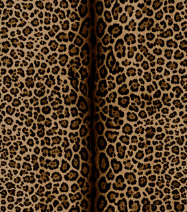 豹纹皮革纹理特写