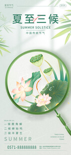夏至三候海报