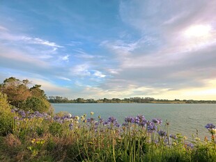 奥克兰海边美景