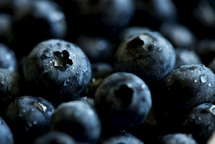 蓝莓
