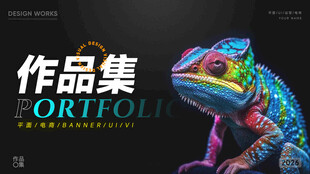 多彩变色龙作品集封面