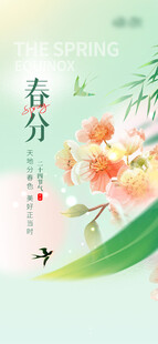 春分时节花卉清新画面
