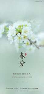 春日杏花图