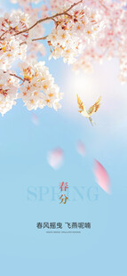 春日樱花飞舞美景
