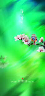 春日繁花绽放