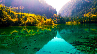 九寨沟高山森林湖泊风景摄影