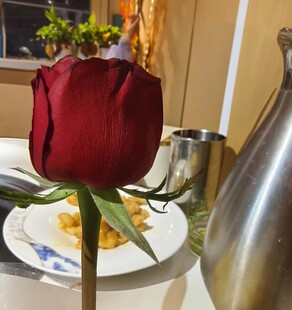餐桌上的单支红玫瑰