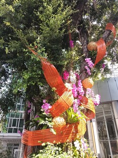 多彩鲜花装点户外景致