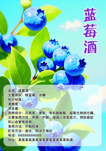 蓝莓润酒清新果香诱人标签包装
