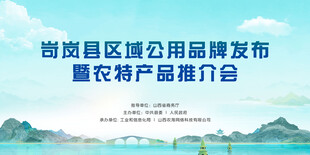 蓝绿色论坛推介会背景板