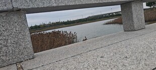 石栏边的宁静湖景风光