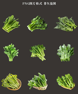 菜薹素材