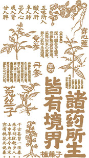 中式中药古风文字装饰素材