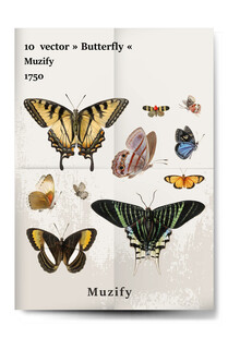 复古海报 10款入蝴蝶