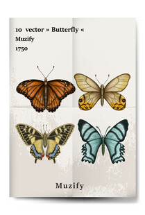 复古海报 4款入蝴蝶