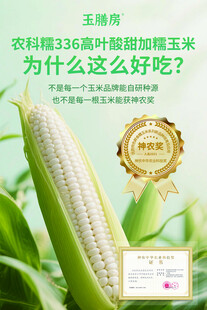 农科院甜加糯玉米