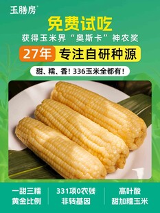新鲜自研发玉米免费试吃