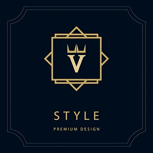 高端时尚V字皇冠标志设计