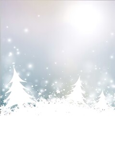 冬日雪景中的洁白松树