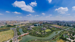 城市湿地全景风光