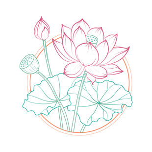 手绘荷花图案