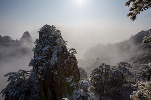 黄山雪景山峰树木自然景观
