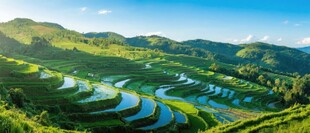雷山县开屯梯田福泉市海南五指山