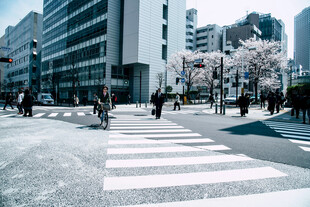 城市街道行人与斑马线景象