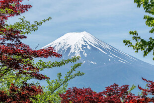 富士山下的多彩景致