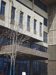 现代建筑外观与光秃树木