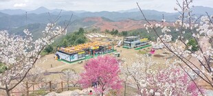 和平县 礼士镇  腐竹嶂风景