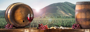 田园中的葡萄酒桶与美景