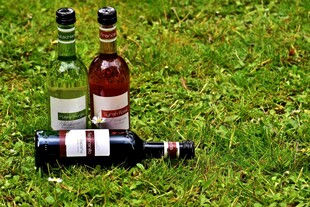 草地上的几瓶美酒