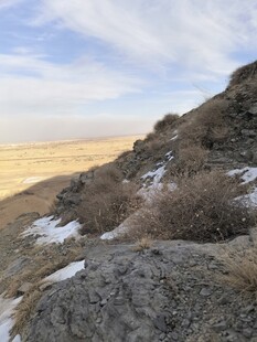 山坡雪景自然荒野风光
