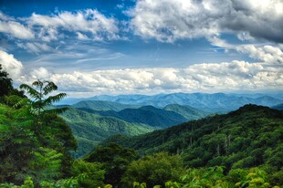 青山云海间的壮美风光