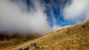 山间云雾缭绕的金黄山坡