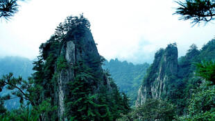 奇峰耸立的壮美山林景观
