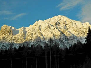 壮丽雪山与森林景观