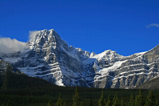 巍峨雪山与葱郁森林美景