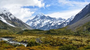 壮丽高山草甸自然景观