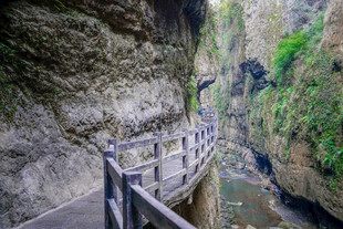 山间栈道穿行于峡谷之间